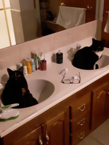 Ellie (left)